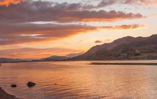 Dave Talbot Website