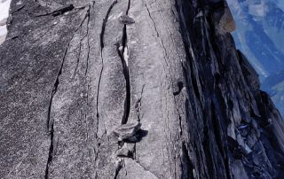 Rock climbing guiding