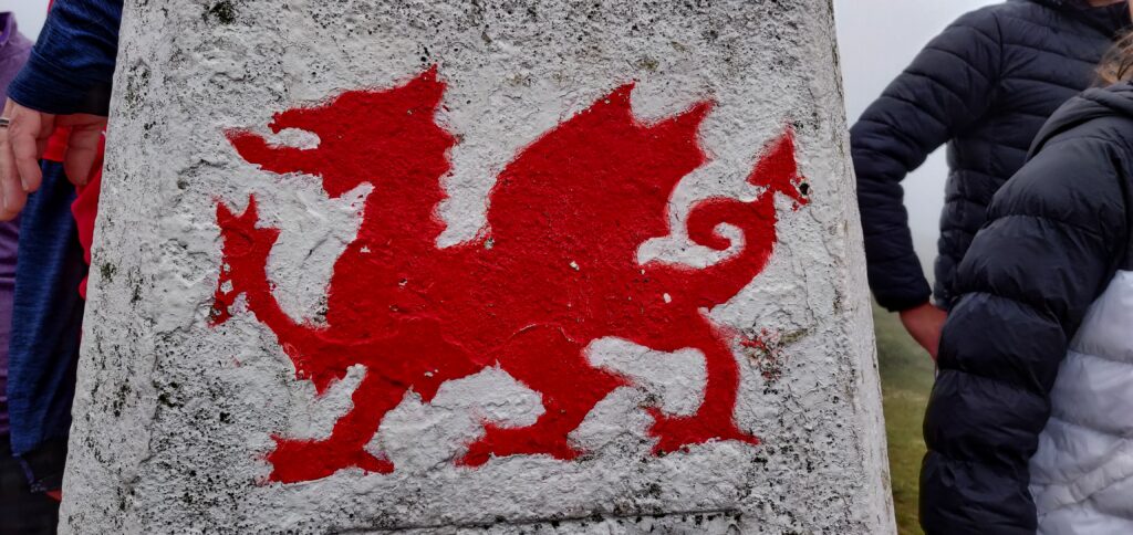 Wales BB Ultra Wales BB Ultra