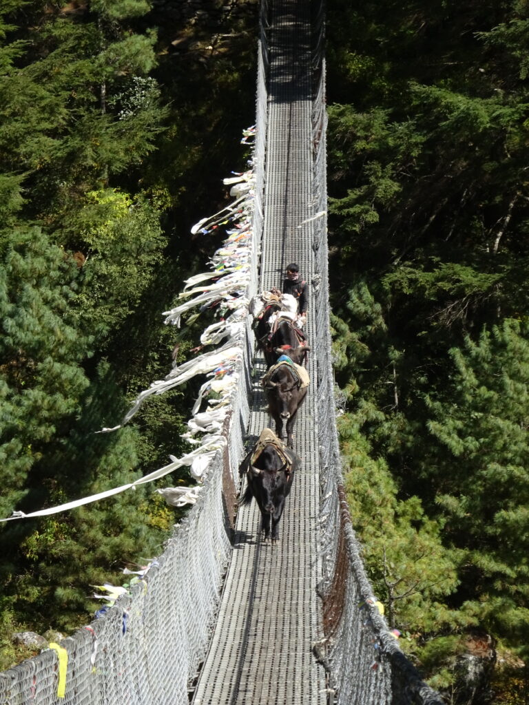 Nepal bridge 