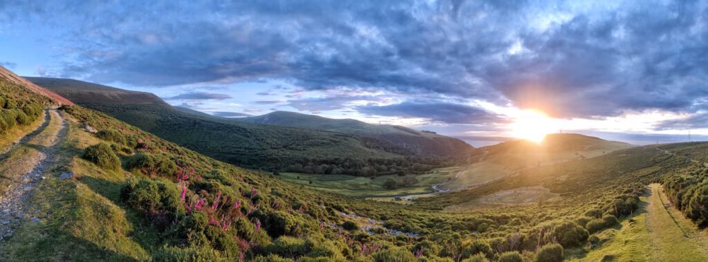 Sunset in the countryside
