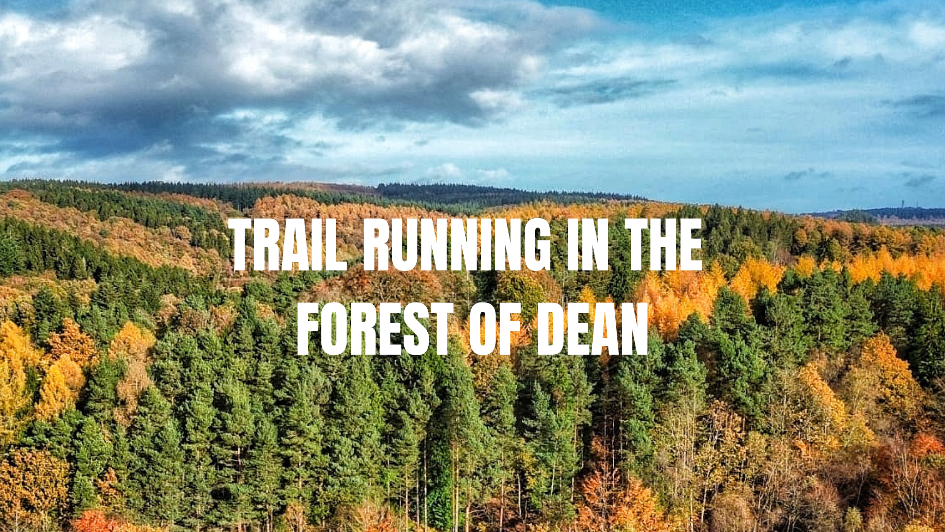 TRAIL RUNNING IN THE FOREST OF DEAN
